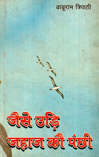 जैसे उड़ि जहाज कौ पंछी: Like a Flying Ship's Bird (Story's Collection)