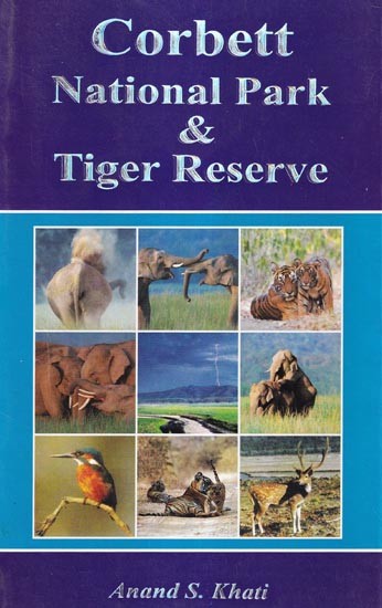 Corbett National Park & Tiger Reserve