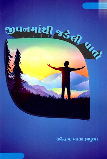 જીવનમાંથી જડેલી વાતો: Jivanmanthi Jadeli Vato (Gujarati)