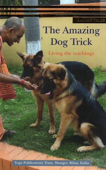 The Amazing Dog Trick Living The Teachings