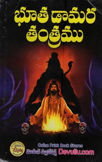 భూతడామర తంత్రము: వ్యాఖ్యానం - వివరణ- Bhutadamara Tantra: Commentary - Explanation in Telugu