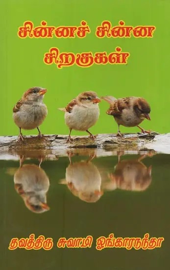 சின்னச் சின்ன சிறகுகள்: Chinna Chinna Siraguhal in Tamil