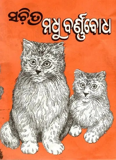 ସଚିତ୍ର ମଧୁ ବର୍ଣ୍ଣବୋଧ: Madhu Varnabodh (Illustrated) in Oriya