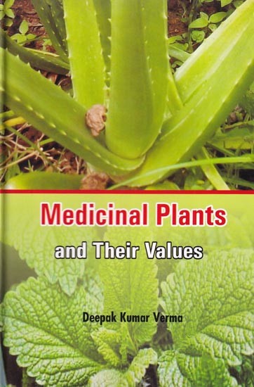 Medicinal Plants and Their Values