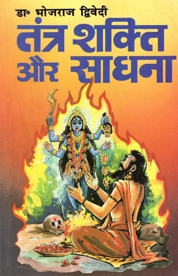 तन्त्र शक्ति और साधना: Tantra Shakti And Sadhana