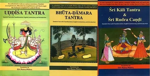 Authentic Translation of Three Important Tantra Texts into English by Shri Giri Ratna Mishra