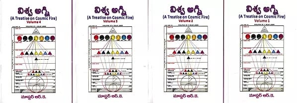 విశ్వ అగ్ని: Viswaagni- A Treatise on Cosmic Fire in Telugu (Set of 4 Volumes)