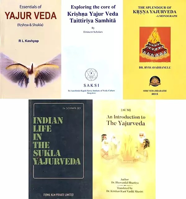 Exploring the Yajurveda (Set of 5 Books)