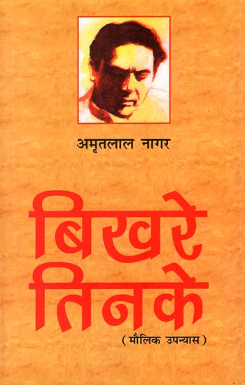 बिखरे तिनके : Bikhre Tinke (A Novel by Amritlal Nagar)