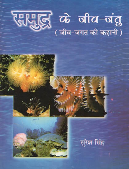 समुद्र के जीव-जंतु (जीव-जगत की कहानी): Stories of Water Animals