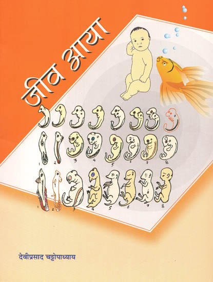 जीव आया: Stories on Human Evolution (Stories for Children)