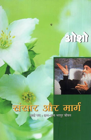 संसार और मार्ग- ताओ पथ: क्षण क्षण भरपूर जीवन - Hindi Translation of Osho's 'The Empty Boat' (An English Text on Osho's Eleven Speeches on Life)