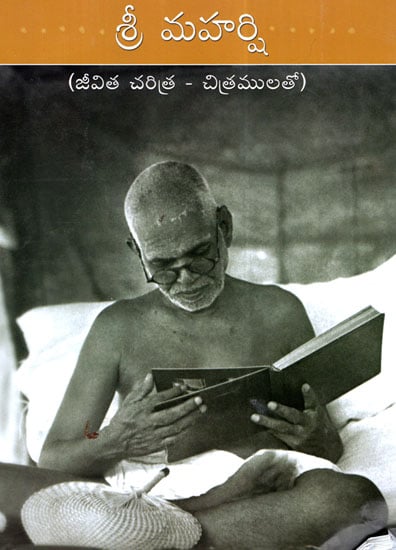 Sri Maharshi (Telugu)