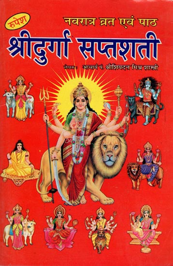 नवरात्र व्रत एवं पाठ श्रीदुर्गा सप्तशती - Navratri Fast and Recitation Shri durga Saptashati