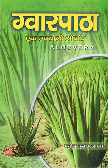 ग्वारपाठा: Aloe Vera (A Useful Medicine)