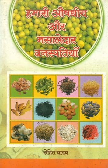 हमारी औषधीय और मसालेदार वनस्पतियाँ - Our Medicines and Spiced Vegetation