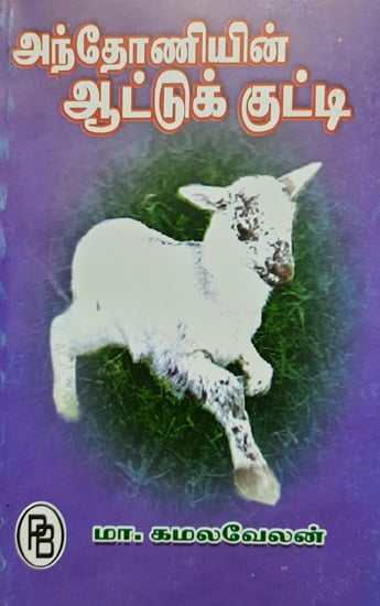 Anthony's Sheep (Tamil)