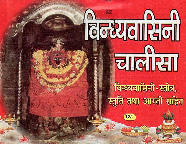 विन्ध्यवासिनी चालीसा - Vindhyavasini Chalisa