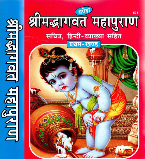 श्रीमद्भागवत महापुराण - Shrimad Bhagwat Maha Purana (Set of 2 Volumes)