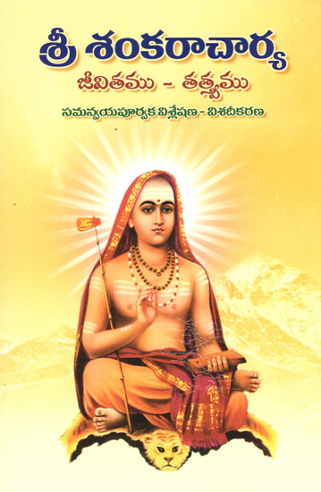 Sri Shankaracharya (Telugu)