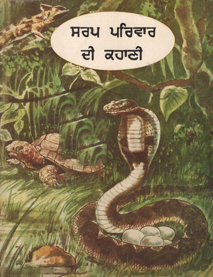 Sari Sarip Ki Kahani in Punjabi (An Old Book)