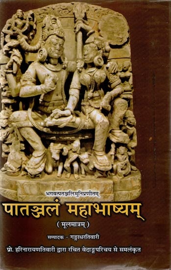 पातञ्जलं महाभाषयम् - Patanjal Mahabhashya