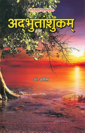 अद्भुतांशुकम् की नाट्यशास्त्रीय समीक्षा - Theatrical Review of Adbhutanshukam