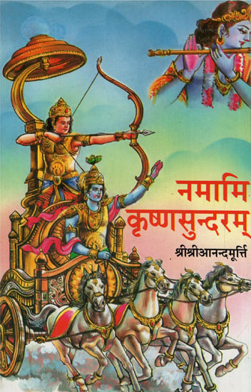 नमामि कृष्णसुन्दरम् - Namami Krishna Sundaram