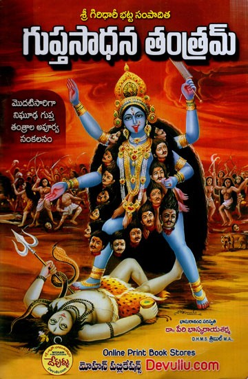 Gupta Sadhana Tantram (Telugu)