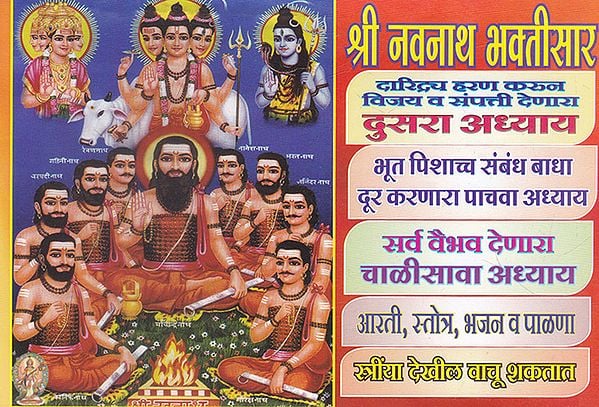 श्री नवनाथ भक्तिसार- Shri Navnath Bhaktisar