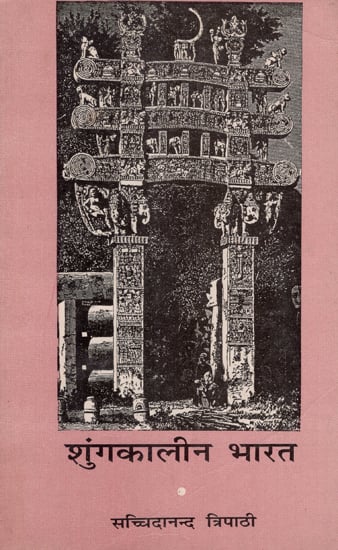 शुंगकालीन भारत - India at the Time of the Shungas (An Old and Rare Book)