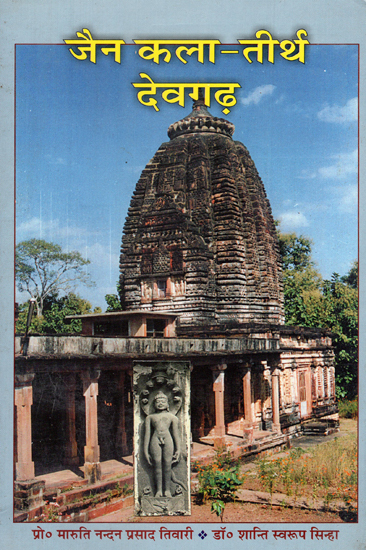 जैन कला तीर्थ देवगढ़ - Jain Kala Tirtha Devgarh (An Old Book)