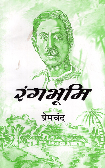 रंगभूमि - Rangbhumi- Novel (An Old Book)