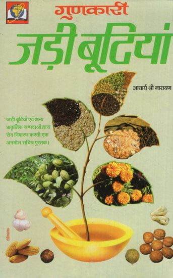 गुणकारी जड़ी बूटियां - Useful Plants and Herbs