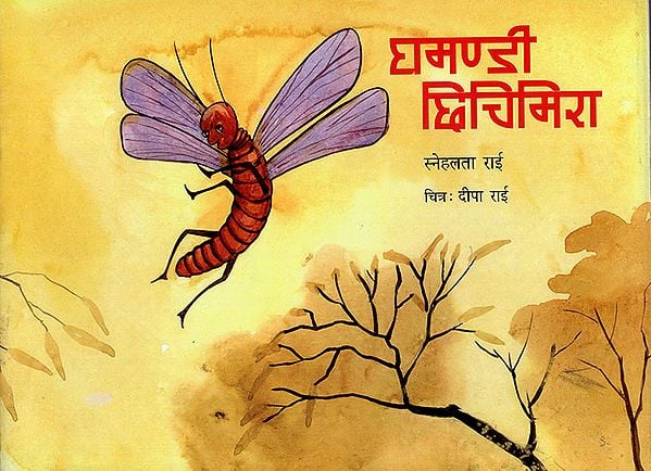 घमण्डी  छिचिमिरा : Ghamandi Chichimera (Nepali)