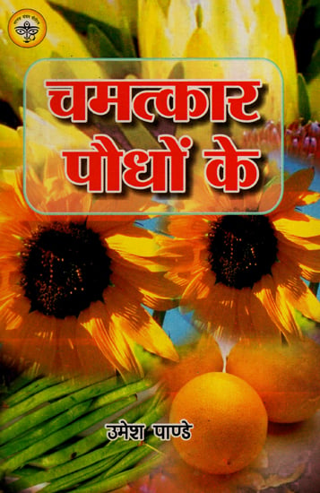 चमत्कारी पौधों - Miracle Plants