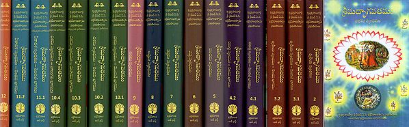 श्रीमद्भागवतम् The Srimad Bhagavata Purana (Set of 18 Volumes): Sanskrit Text, Word-to-Word Meaning, Telugu Translation and Detailed Explanation