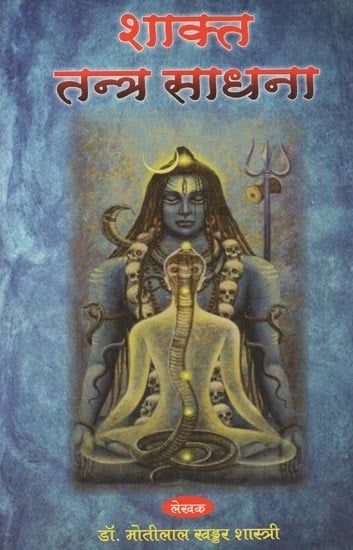 शाक्त तन्त्र साधना - Shakt Tantra Sadhana