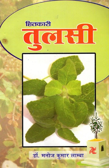 हितकारी तुलसी- 
Beneficial  Tulsi