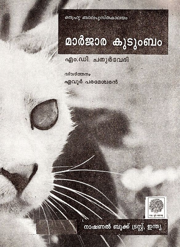 The Cat Family (Malayalam) | Exotic India Art