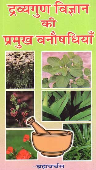 द्रव्यगुण विज्ञान की प्रमुख वनौषधियाँ - Herbal Medicines