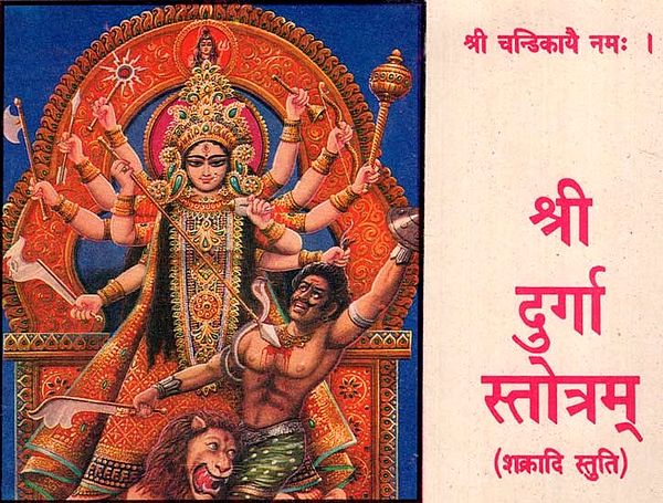 श्री दुर्गा स्तोत्रम - Shree Durga Stotram