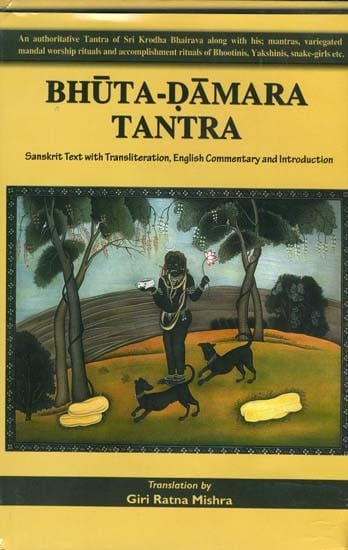 Bhuta Damara Tantra (An  Authoritative Tantra of Sri Krodha Bhairava Along with His Mantras, Mandal Worship Rituals and Accomplishment Rituals of Bhutinis, Yakshinis, Snake-Girls etc.)