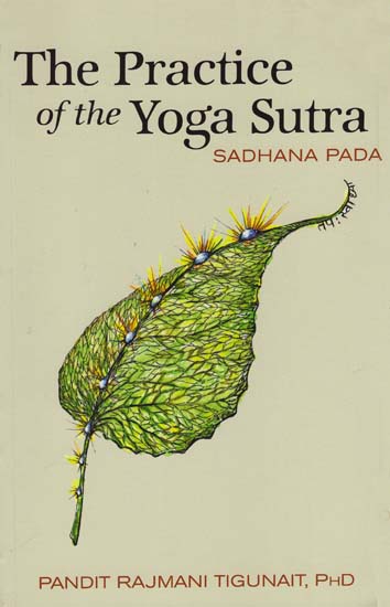 The Practice of the Yoga Sutra