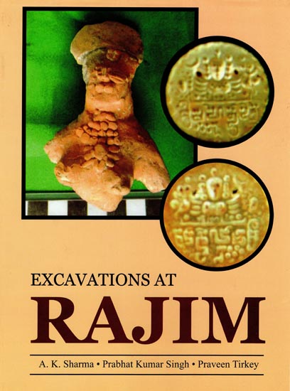 Excavations at Rajim