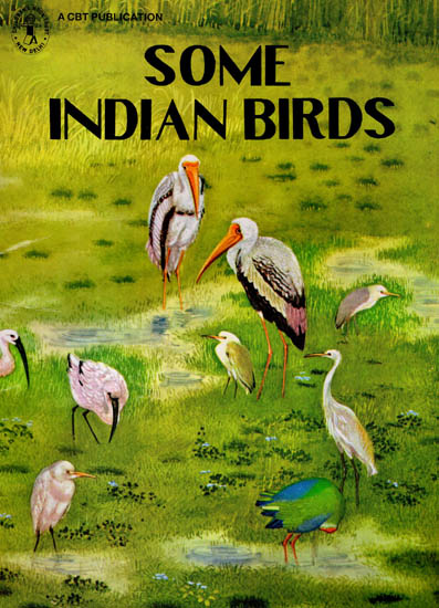 Some Indian Birds