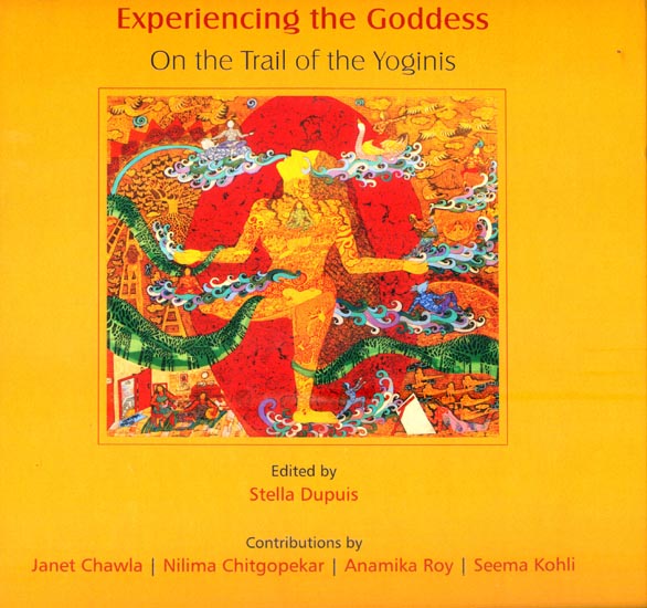 Experiencing the Goddess (On the Trail of the Yoginis)