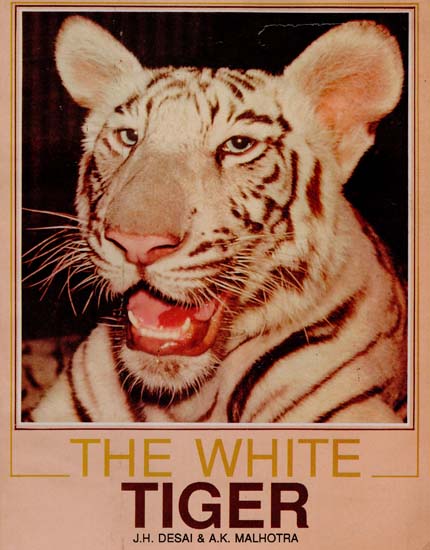 The White Tiger