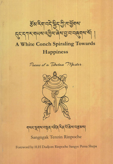 A White Conch Spiraling Towards Happiness