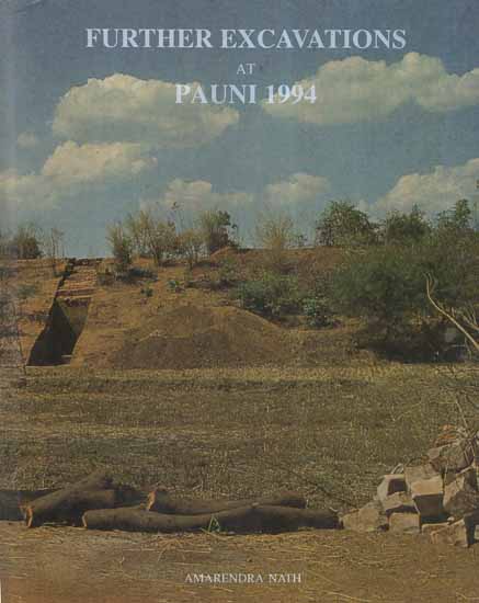 Further Excavations At Pauni 1994 (An Old and Rare Book)